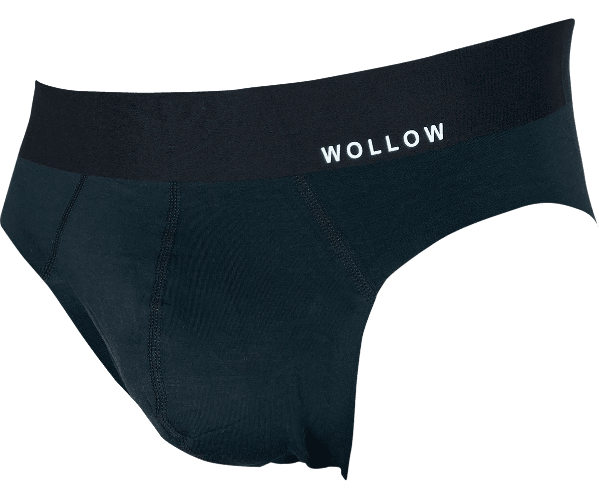 【WOLLOW-33B】モダールビキニパンツ