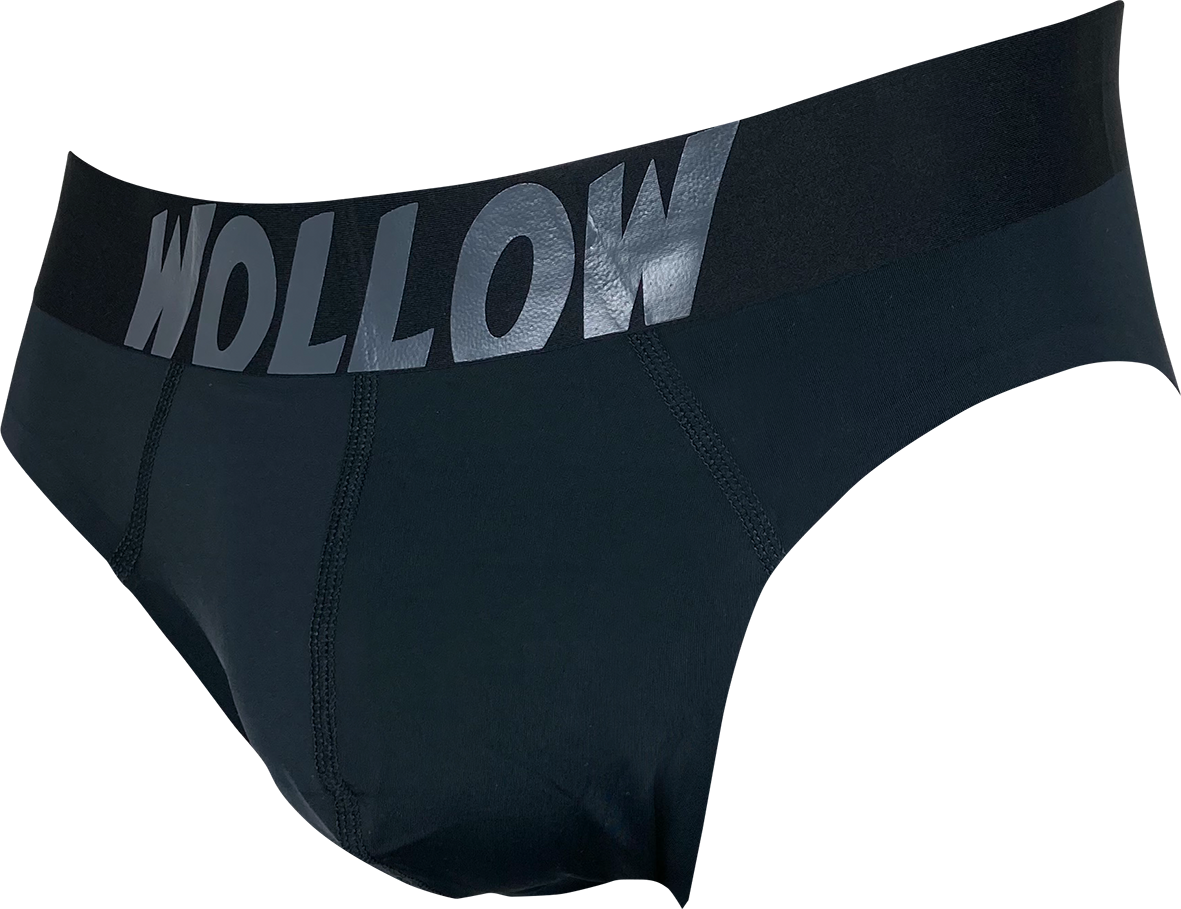 【WOLLOW-42B】モダールビキニパンツ