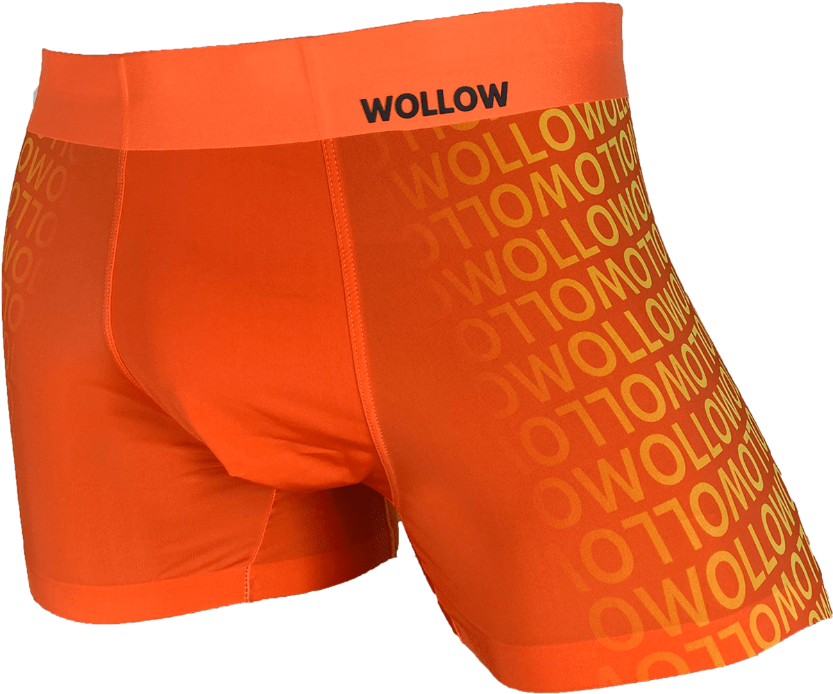 【WOLLOW-46】ナイロンボクサーパンツ