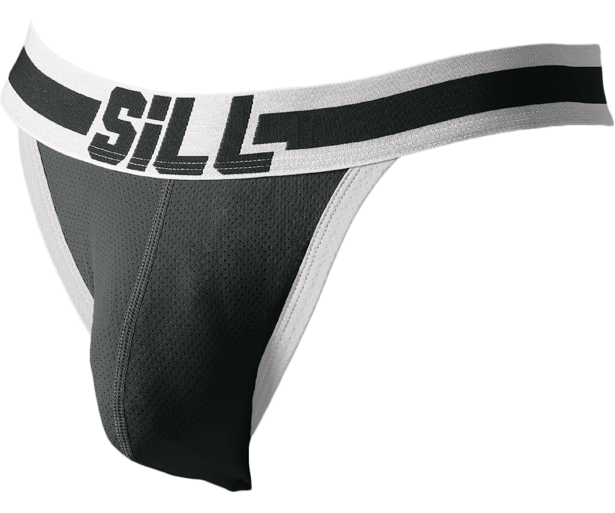 【SiLL】 メッシュビキニパンツ